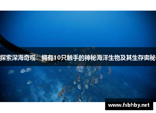 探索深海奇观：拥有10只触手的神秘海洋生物及其生存奥秘